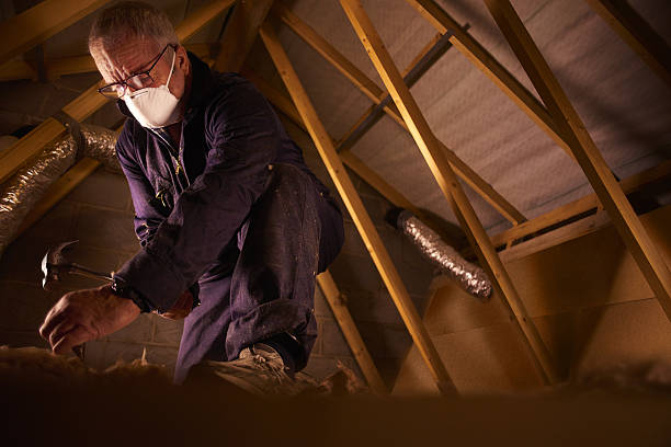 Best Cellulose Insulation in Colleyville, TX