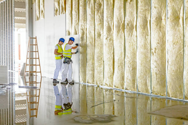 Best Insulation Maintenance and Repair in Colleyville, TX